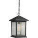 Portland 1 Light 8 inch Oil Rubbed Bronze Outdoor Chain Mount Ceiling Fixture in Clear Seedy Glass, 4.85