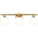 Neoma 3 Light 21.75 inch Bathroom Vanity Light