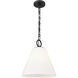 Alaric 1 Light 14 inch Matte Black Pendant Ceiling Light