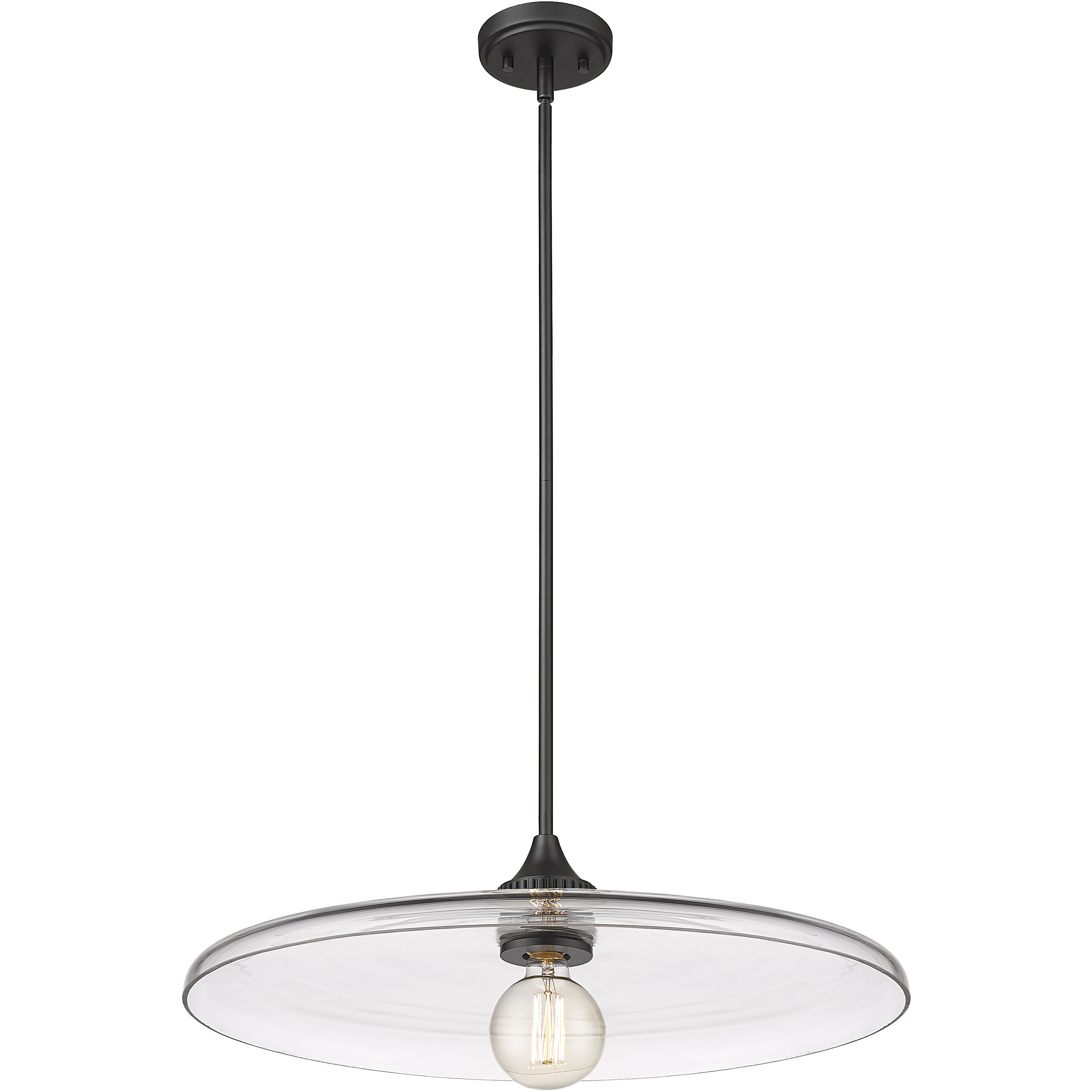 Paloma 1 Light 24 inch Matte Black Pendant Ceiling Light