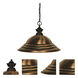 Shark 1 Light 16 inch Bronze Pendant Ceiling Light in Antique Copper Steel, 3.68