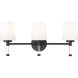 Henri Vanity Wall Light in Matte Black
