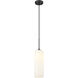 Monty 1 Light 5.25 inch Pendant
