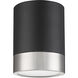 Algar LED 6 inch Matte Black and Brushed Nickel Flush Mount Ceiling Light