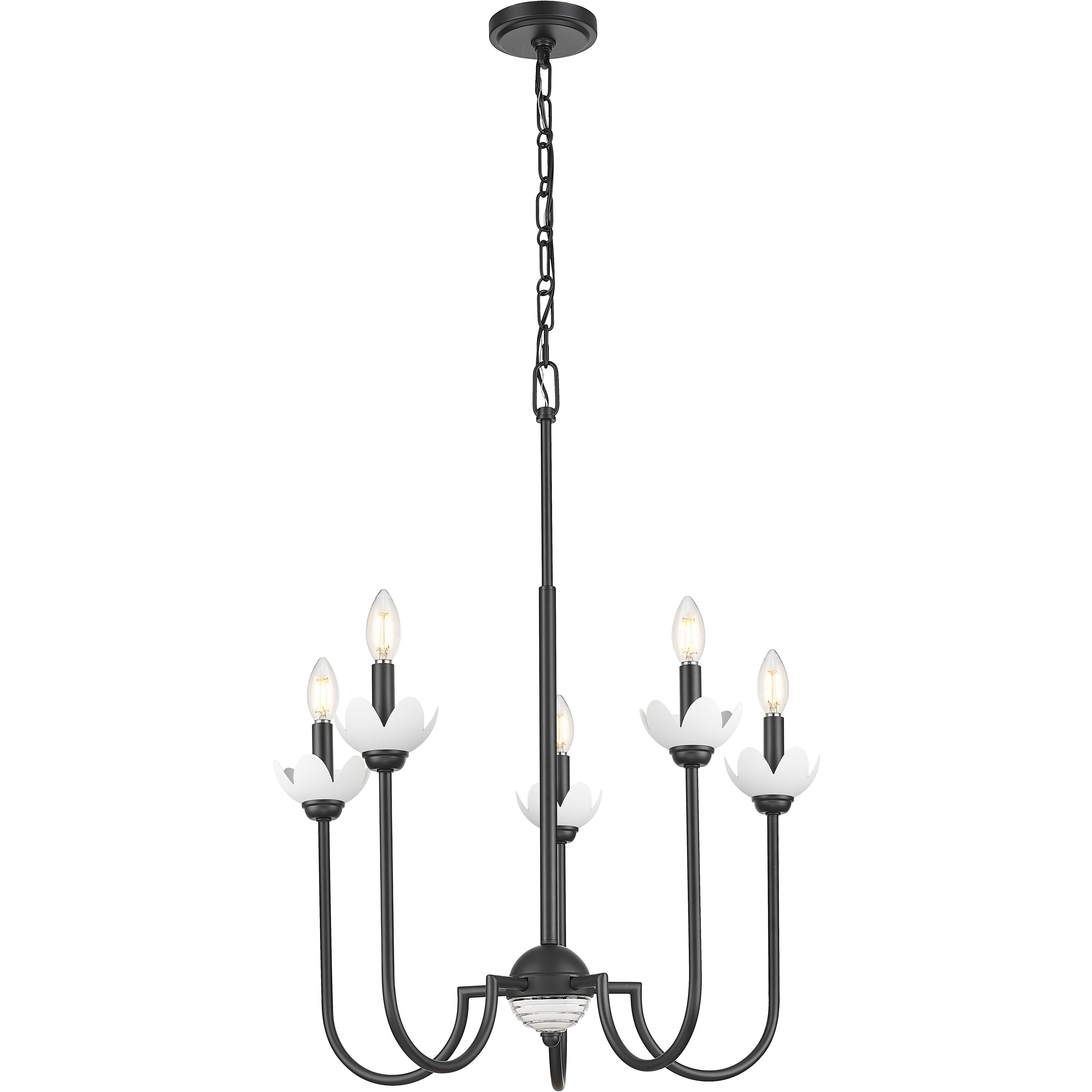 Allistair 5 Light 24 inch Matte Black Chandelier Ceiling Light