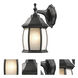 Waterdown 1 Light 11.75 inch Black Outdoor Wall Light