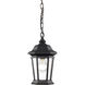 Melbourne 1 Light 8 inch Black Outdoor Chain Mount Ceiling Fixture