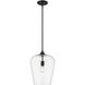 Joliet 1 Light 12 inch Matte Black Pendant Ceiling Light
