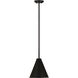 Eaton 1 Light 12 inch Matte Black Pendant Ceiling Light