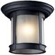 Skylar 1 Light 9.75 inch Black Outdoor Flush Mount