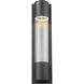 Striate Outdoor Wall Light in Black