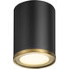 Arlo 1 Light 5.25 inch Matte Black and Rubbed Brass Flush Mount Ceiling Light
