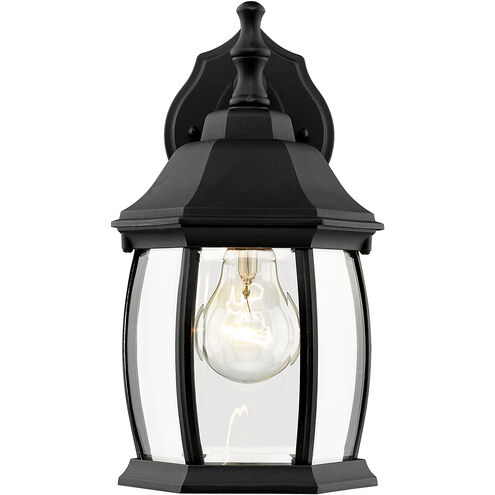 Waterdown 1 Light 11.75 inch Black Outdoor Wall Light