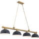 Cordon 4 Light 81.5 inch Heritage Brass Billiard Ceiling Light in Matte Black