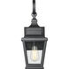 Raphael 1 Light 19.25 inch Sand Black Outdoor Wall Light in Soft Sand Black