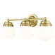 Vaughn 3 Light 22.5 inch Luxe Gold Vanity Wall Light