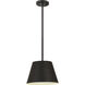 Maddox 1 Light 12 inch Matte Black Pendant Ceiling Light