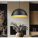 Vega Pendant Ceiling Light in Matte Black