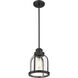 Burren 1 Light 8.75 inch Matte Black Pendant Ceiling Light