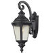 Medow 1 Light 19.63 inch Black Outdoor Wall Light