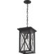 Brookside 1 Light 9.5 inch Black Outdoor Chain Mount Ceiling Fixture