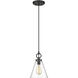 Harper 1 Light 8 inch Matte Black Pendant Ceiling Light