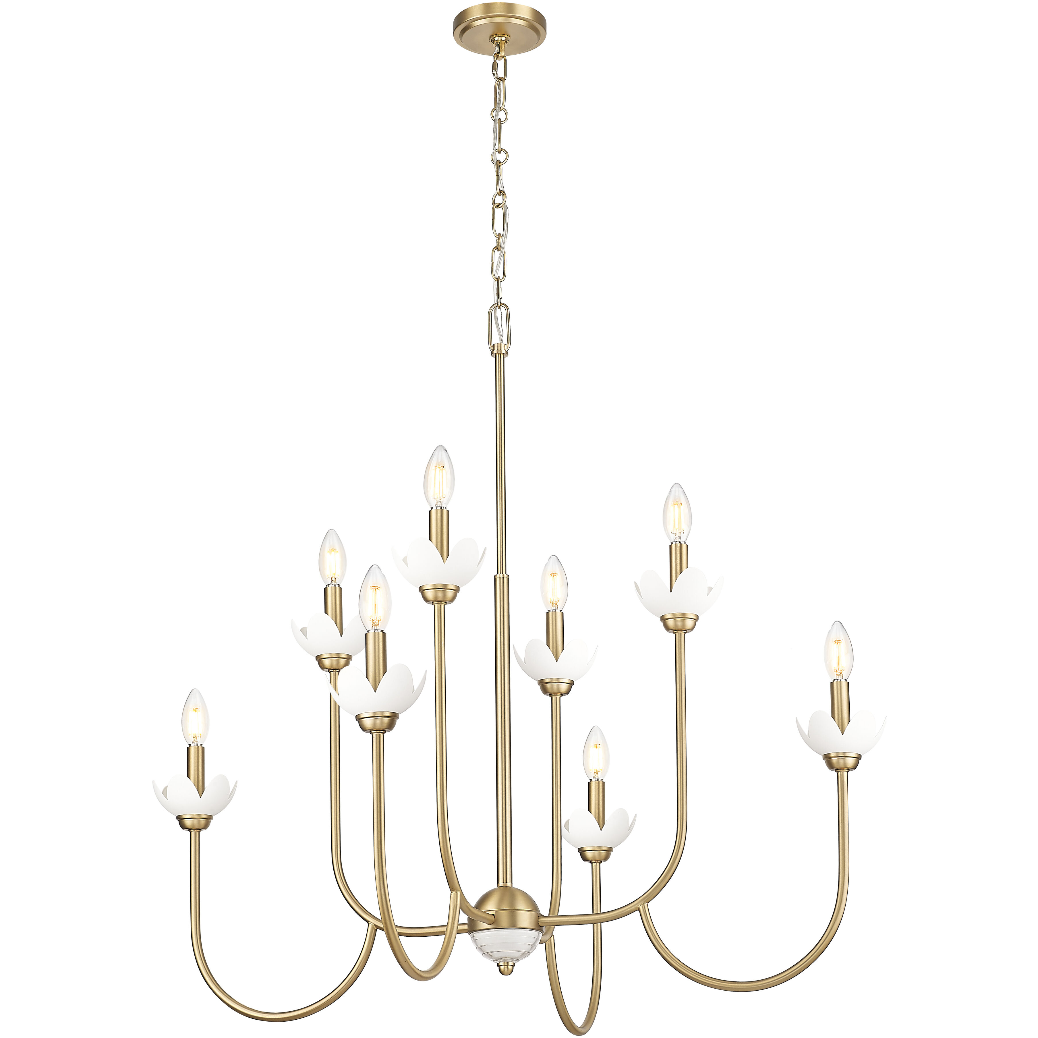 Allistair 8 Light 36 inch Modern Gold Chandelier Ceiling Light
