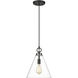 Harper 1 Light 11.5 inch Matte Black Pendant Ceiling Light