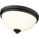 Ashton 2 Light 13 inch Matte Black Flush Mount Ceiling Light in 4