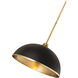Landry 1 Light 20 inch Matte Black and Rubbed Brass Pendant Ceiling Light