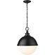 Peyton 2 Light 14.50 inch Pendant