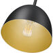 Vega Pendant Ceiling Light in Matte Black