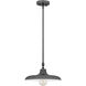 Camden 1 Light 14 inch Modern Bronze Pendant Ceiling Light