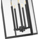 Nova 5 Light 12.5 inch Black Outdoor Chain Mount Ceiling Fixture in Clear Glass