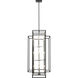 Titania 12 Light 20 inch Black and Brushed Nickel Chandelier Ceiling Light