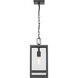 Nuri 1 Light 7.5 inch Black Outdoor Chain Mount Ceiling Fixture