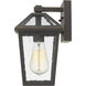 Talbot 1 Light 10.75 inch Oil Rubbed Bronze Outdoor Wall Light in Seedy Glass