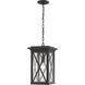 Brookside 1 Light 9.5 inch Black Outdoor Chain Mount Ceiling Fixture