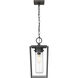 Sheridan 1 Light 8 inch Black Outdoor Chain Mount Ceiling Fixture in Seedy Glass