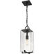 Sana 1 Light 6.75 inch Black Outdoor Chain Mount Ceiling Fixture in Seedy Glass