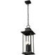 Tiberius 4 Light 9 inch Black Outdoor Chain Mount Ceiling Fixture in Clear Seedy Glass