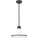 Reznor Pendant Ceiling Light in Matte Black