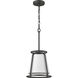 Lenyx 1 Light 10 inch Iron Ore Pendant Ceiling Light