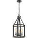 Kirkland 3 Light 12 inch Ashen Barnboard Pendant Ceiling Light