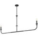 Tova 2 Light 63.75 inch Matte Black Linear Chandelier Ceiling Light