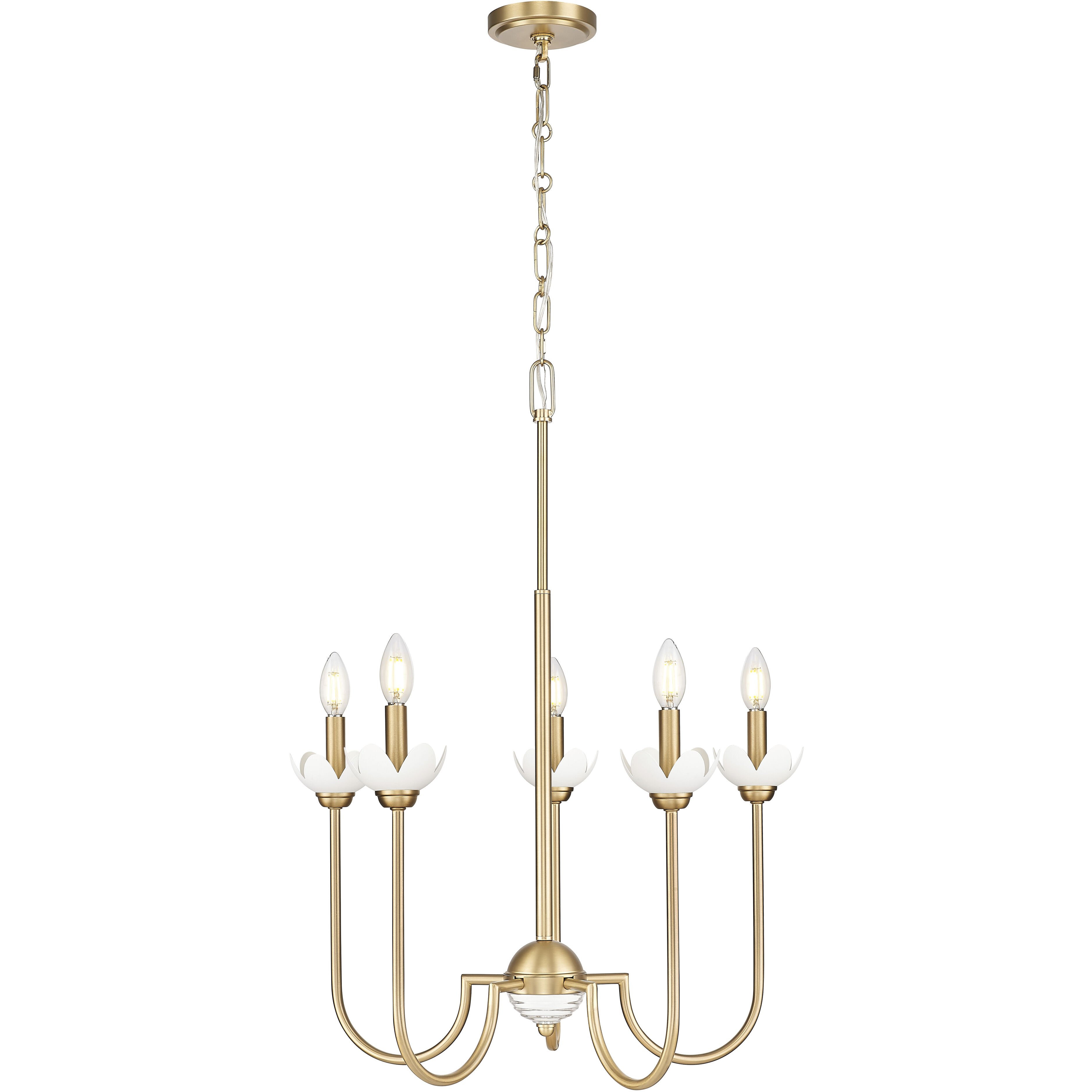 Allistair 5 Light 24 inch Modern Gold Chandelier Ceiling Light