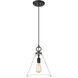 Harper 1 Light 11.5 inch Matte Black Pendant Ceiling Light