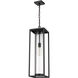 Dunbroch 1 Light 8 inch Black Outdoor Chain Mount Ceiling Fixture