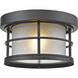 Exterior Additions 1 Light 10.00 inch Outdoor Ceiling Light