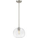 Harmony 1 Light 10 inch Brushed Nickel Pendant Ceiling Light